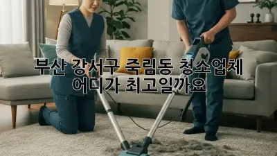 부산 강서구 죽림동 청소업체, 어디가 최고일까요?