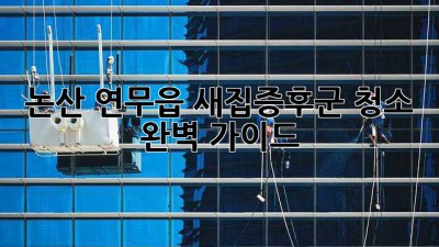 논산 연무읍 새집증후군 청소 완벽 가이드